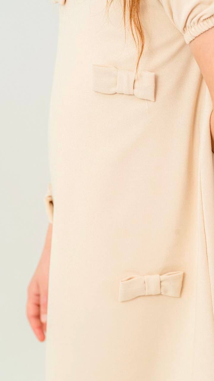 ENSEMBLE 15201 .