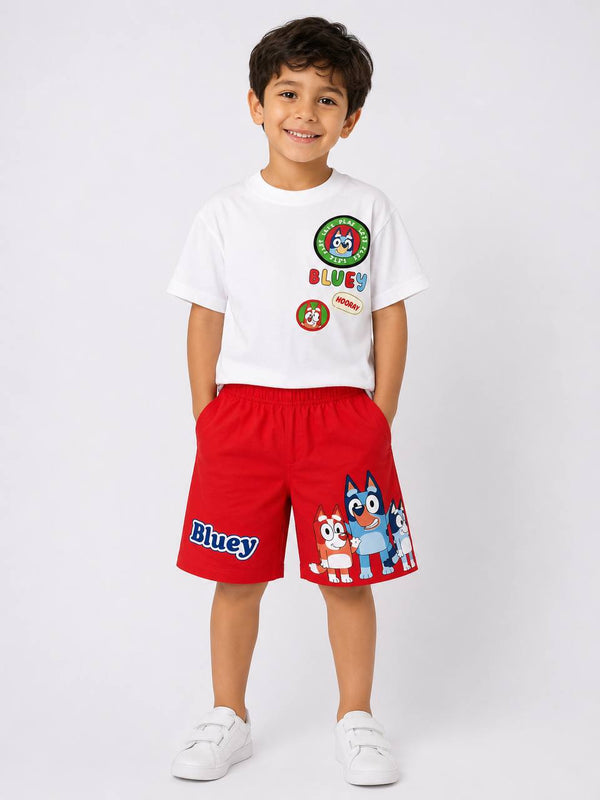 ENSEMBLE 13573